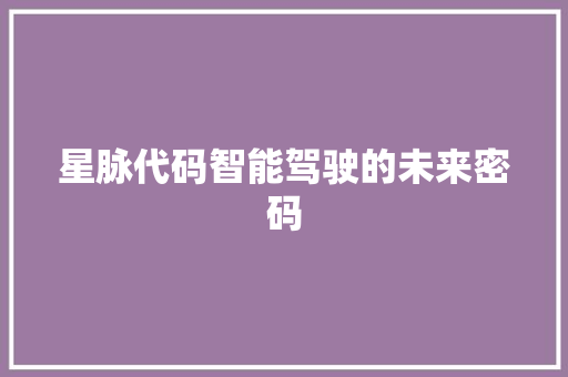 星脉代码智能驾驶的未来密码