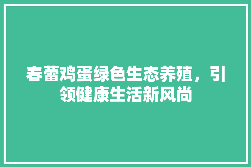 春蕾鸡蛋绿色生态养殖，引领健康生活新风尚