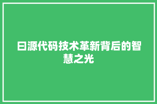 曰源代码技术革新背后的智慧之光