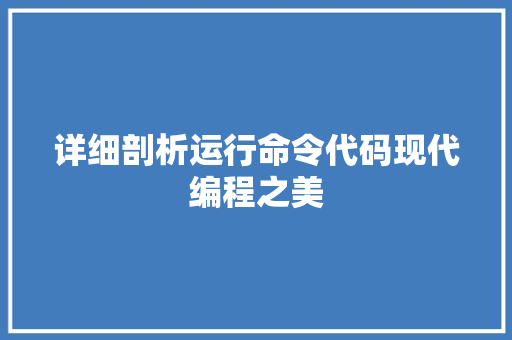 详细剖析运行命令代码现代编程之美