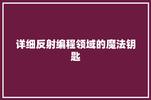 详细反射编程领域的魔法钥匙