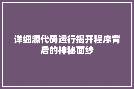 详细源代码运行揭开程序背后的神秘面纱