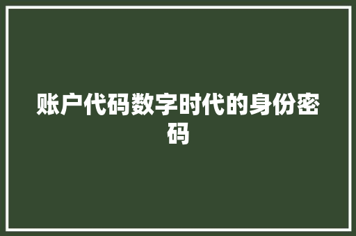 账户代码数字时代的身份密码