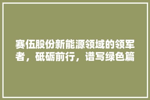 赛伍股份新能源领域的领军者，砥砺前行，谱写绿色篇章