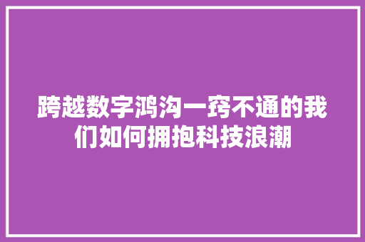 跨越数字鸿沟一窍不通的我们如何拥抱科技浪潮