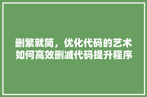 删繁就简，优化代码的艺术如何高效删减代码提升程序质量