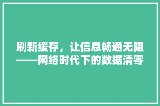 刷新缓存，让信息畅通无阻——网络时代下的数据清零之路