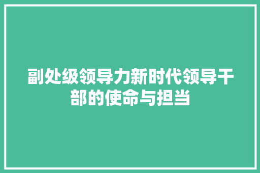 副处级领导力新时代领导干部的使命与担当