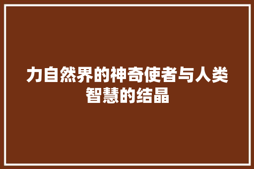 力自然界的神奇使者与人类智慧的结晶