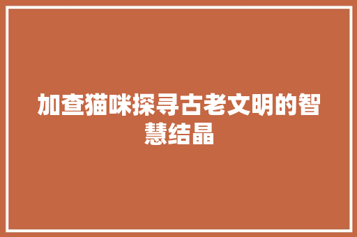 加查猫咪探寻古老文明的智慧结晶