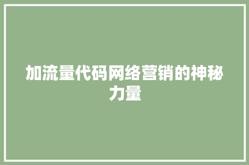 加流量代码网络营销的神秘力量