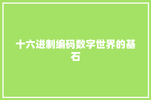 十六进制编码数字世界的基石