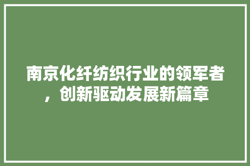 南京化纤纺织行业的领军者，创新驱动发展新篇章