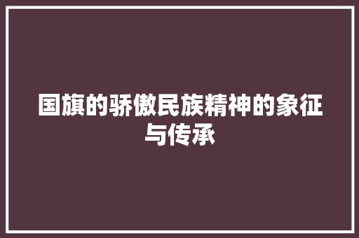 国旗的骄傲民族精神的象征与传承