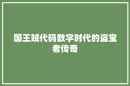 国王贼代码数字时代的盗宝者传奇