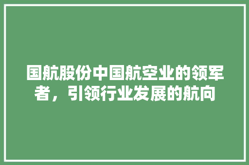 国航股份中国航空业的领军者，引领行业发展的航向