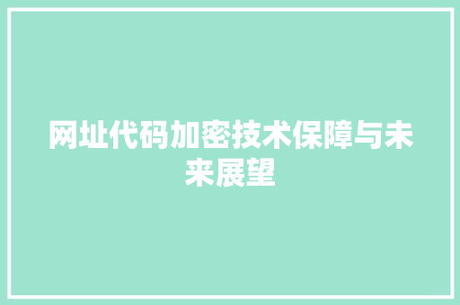 网址代码加密技术保障与未来展望