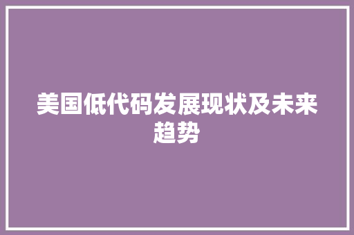 美国低代码发展现状及未来趋势