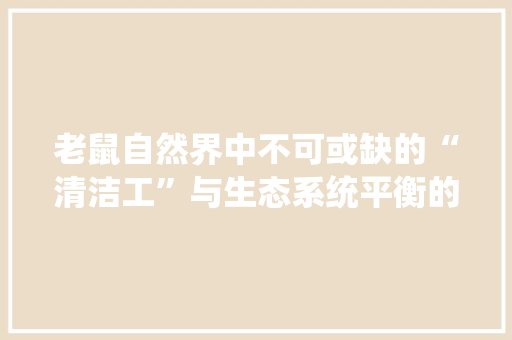 老鼠自然界中不可或缺的“清洁工”与生态系统平衡的守护者