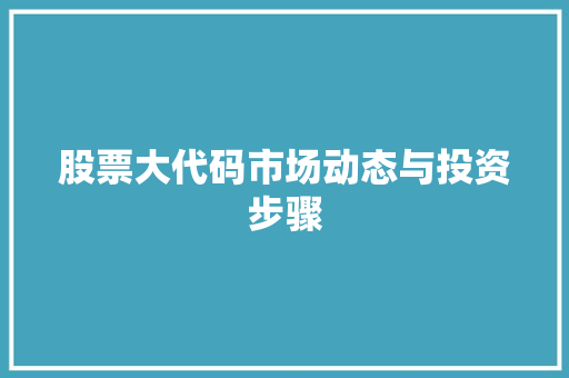 股票大代码市场动态与投资步骤