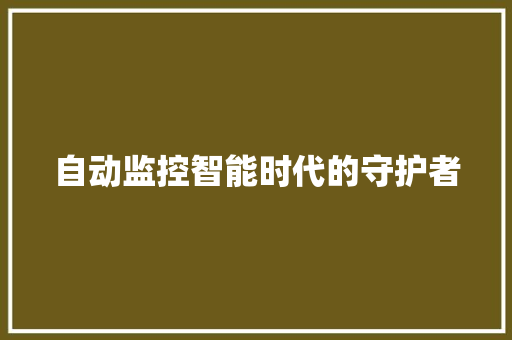 自动监控智能时代的守护者