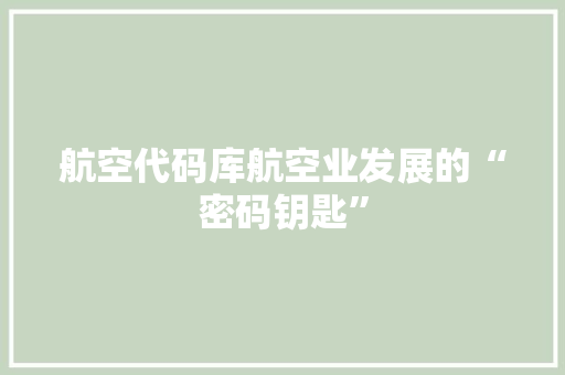 航空代码库航空业发展的“密码钥匙”