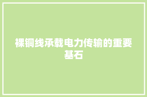 裸铜线承载电力传输的重要基石