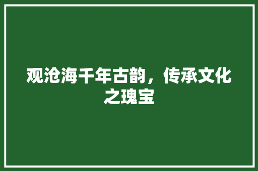 观沧海千年古韵，传承文化之瑰宝