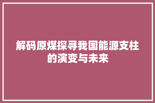 解码原煤探寻我国能源支柱的演变与未来