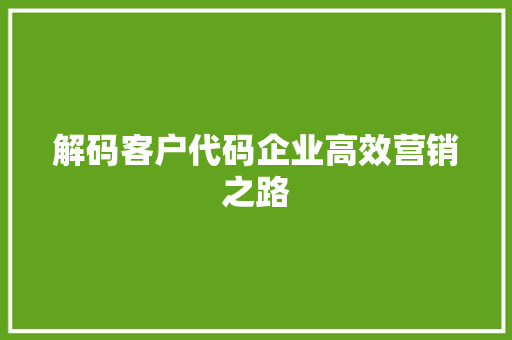 解码客户代码企业高效营销之路