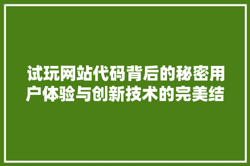 试玩网站代码背后的秘密用户体验与创新技术的完美结合