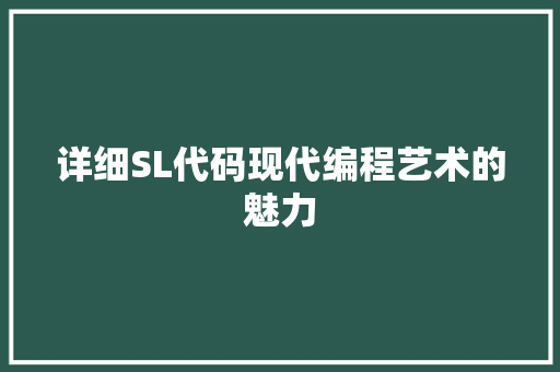 详细SL代码现代编程艺术的魅力