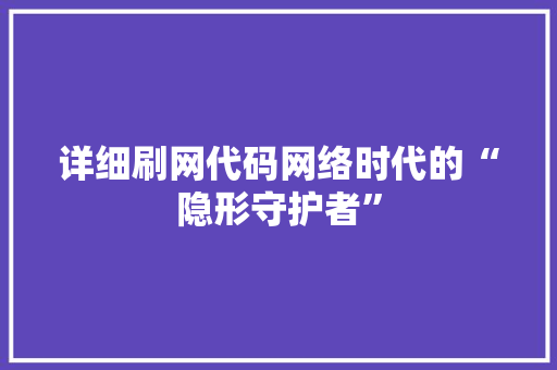 详细刷网代码网络时代的“隐形守护者”