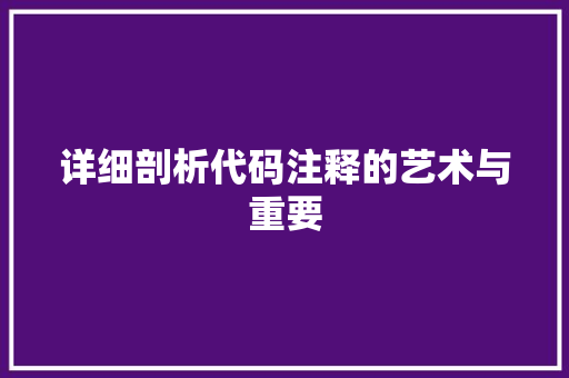 详细剖析代码注释的艺术与重要