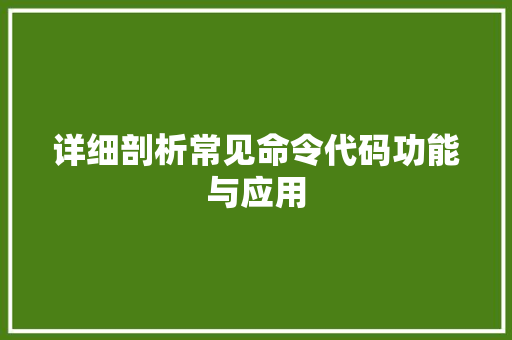 详细剖析常见命令代码功能与应用