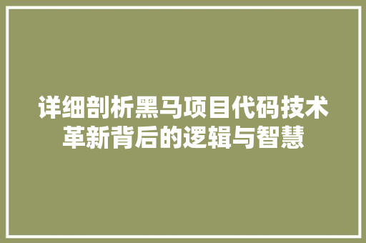 详细剖析黑马项目代码技术革新背后的逻辑与智慧