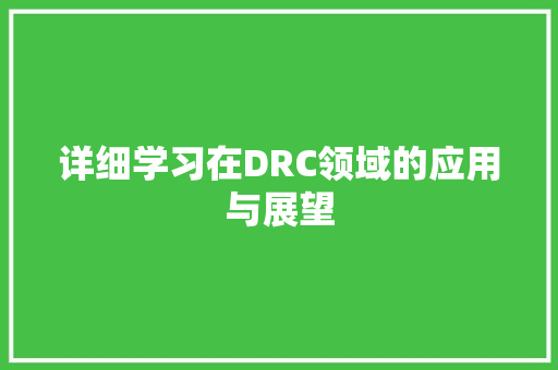 详细学习在DRC领域的应用与展望