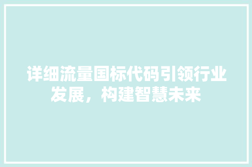 详细流量国标代码引领行业发展，构建智慧未来