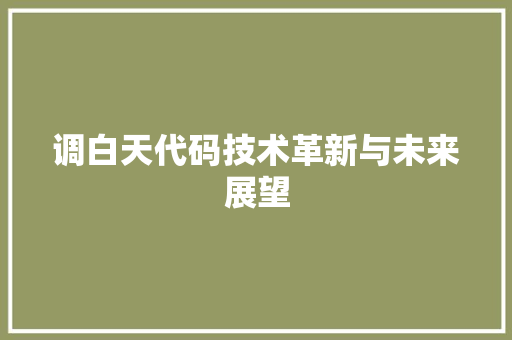 调白天代码技术革新与未来展望