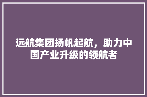 远航集团扬帆起航，助力中国产业升级的领航者