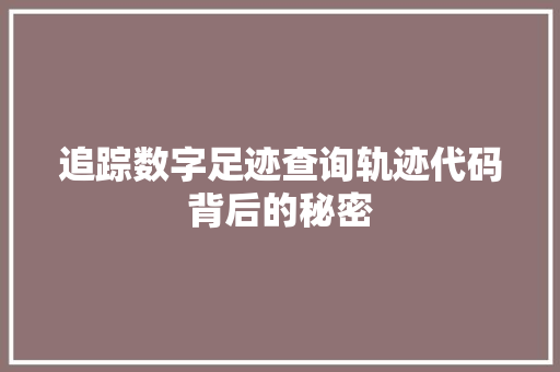 追踪数字足迹查询轨迹代码背后的秘密