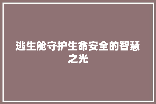 逃生舱守护生命安全的智慧之光