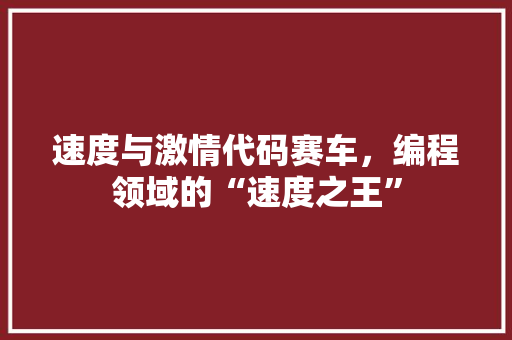 速度与激情代码赛车，编程领域的“速度之王”