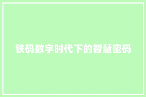 铁码数字时代下的智慧密码