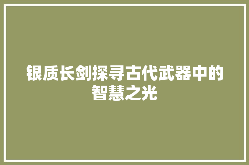 银质长剑探寻古代武器中的智慧之光