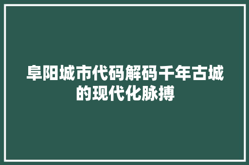 阜阳城市代码解码千年古城的现代化脉搏