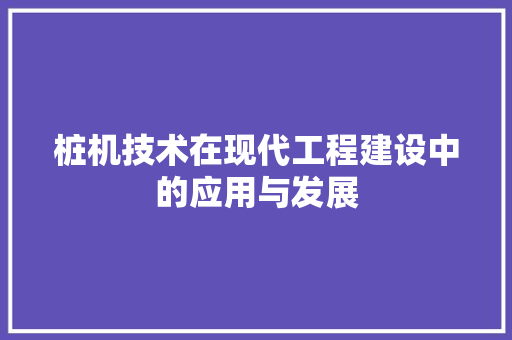 桩机技术在现代工程建设中的应用与发展