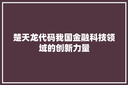 楚天龙代码我国金融科技领域的创新力量