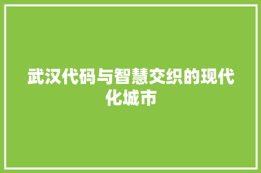 武汉代码与智慧交织的现代化城市