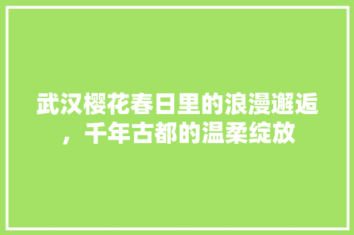 武汉樱花春日里的浪漫邂逅，千年古都的温柔绽放